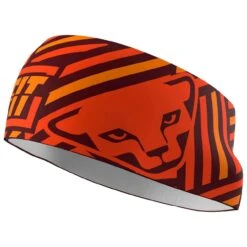 Dynafit Graphic Performance Headband